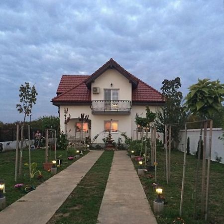 Blue Sky House Hotel Balotesti Buitenkant foto