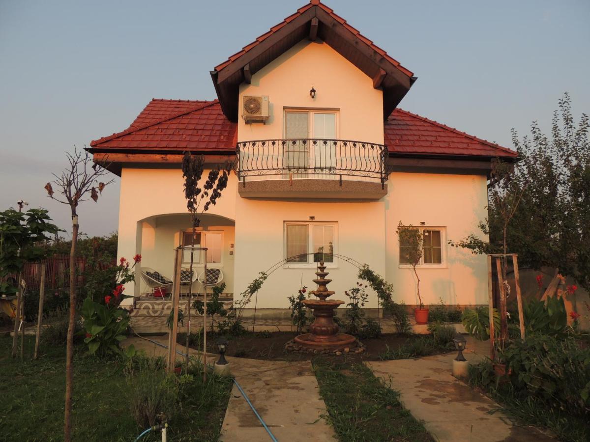 Blue Sky House Hotel Balotesti Buitenkant foto