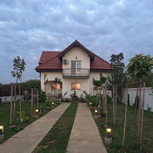 Blue Sky House Hotel Balotesti Buitenkant foto